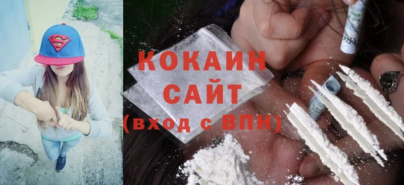 Кокаин FishScale  как найти закладки  Киселёвск 